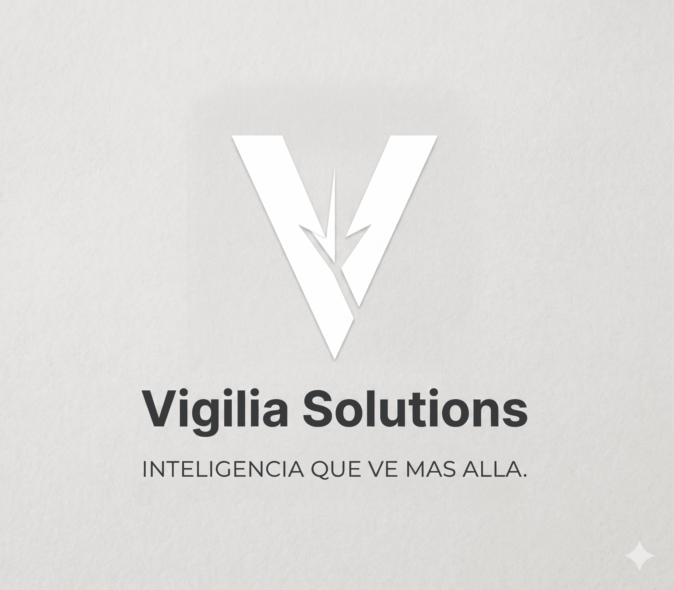 Vigilia Solutions